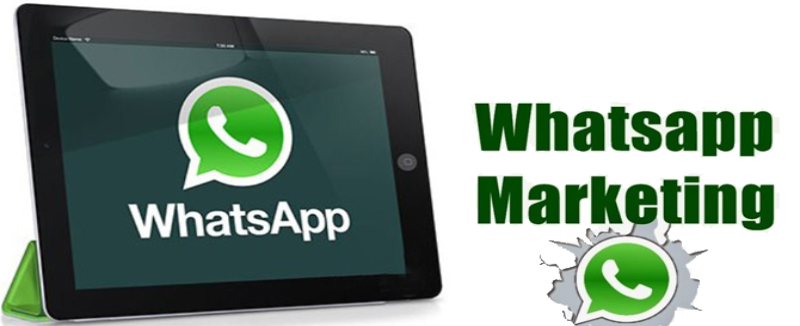 whatsappmktg